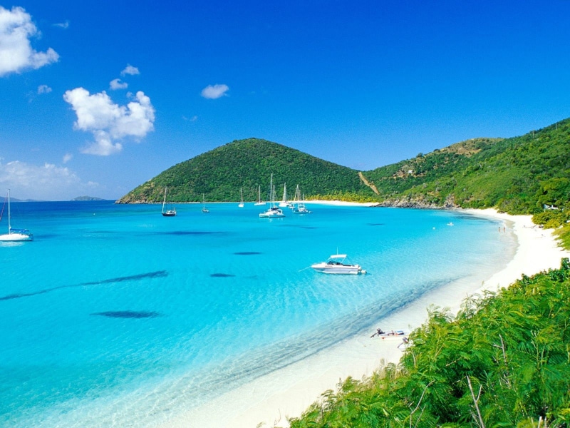 tree, blue, travel destinations, beauty in nature, scenics - nature, day, no people, yacht, sailboat, 720P, transportation, beach, plant, turquoise colored