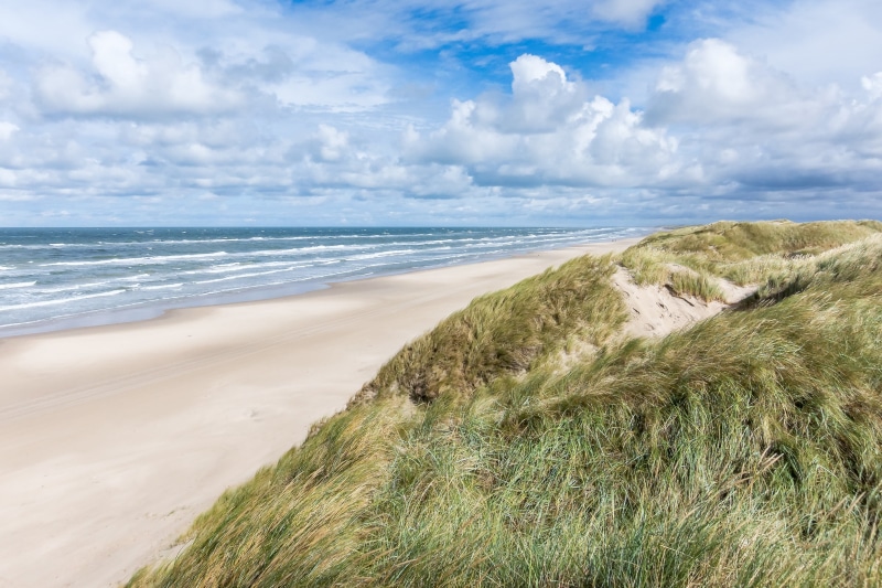 grass, no people, plant, dunes, jutland, danish coast landscape, nature, scenics - nature, dune landscape, tranquil scene, tranquility, sky, sand, north sea