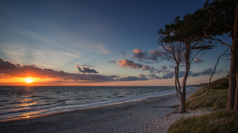 clouds, baltic sea, tree, 4K, land, plant, water, landscape, scenics - nature, sky, nature, idyllic, sunset, ostsee, sea, sonnenuntergang, seascape, horizon over water