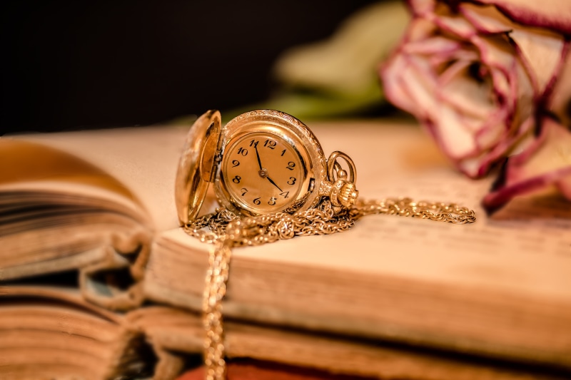 colored, indoors, pocket, clock face, nostalgia, past time, leather, open books, ladies pocket watch, dried rose, book pages, pointer, watch, time of, metal
