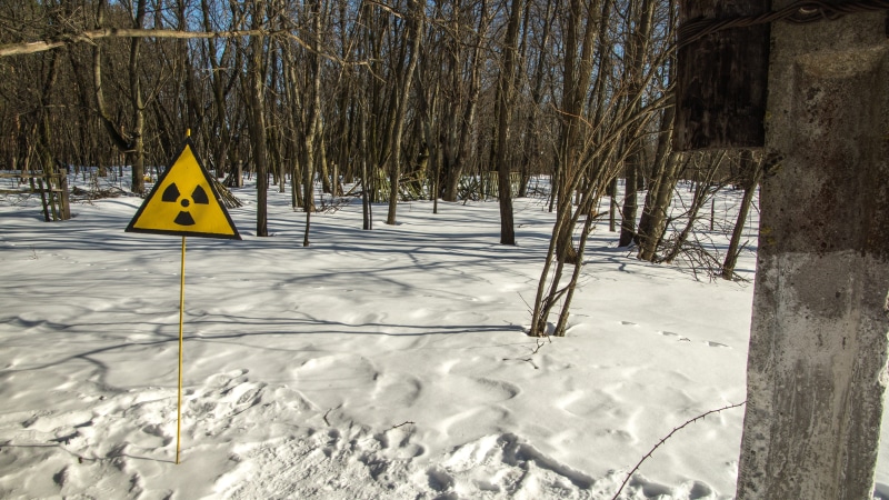 landscape, white, stalker, broken, decay, dangerous, ussr, cold temperature, tree, lost place, day, 5K, damaged, ruin, cold, tranquility, warning sign