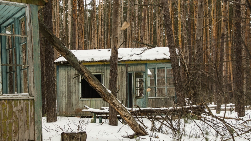 broken, ruined, outdoors, no people, built structure, plant, frozen, ruin, house, radiation, ghost town, fallen, disaster, weathered, ukraine, chernobyl