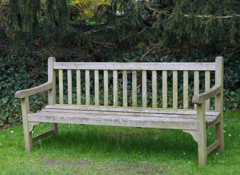 park, growth, 4K, sit, relaxation, empty, absence, bench, garden, color, outdoors, tree, nature, grass, benches, out, no people, relax, green, day, cozy