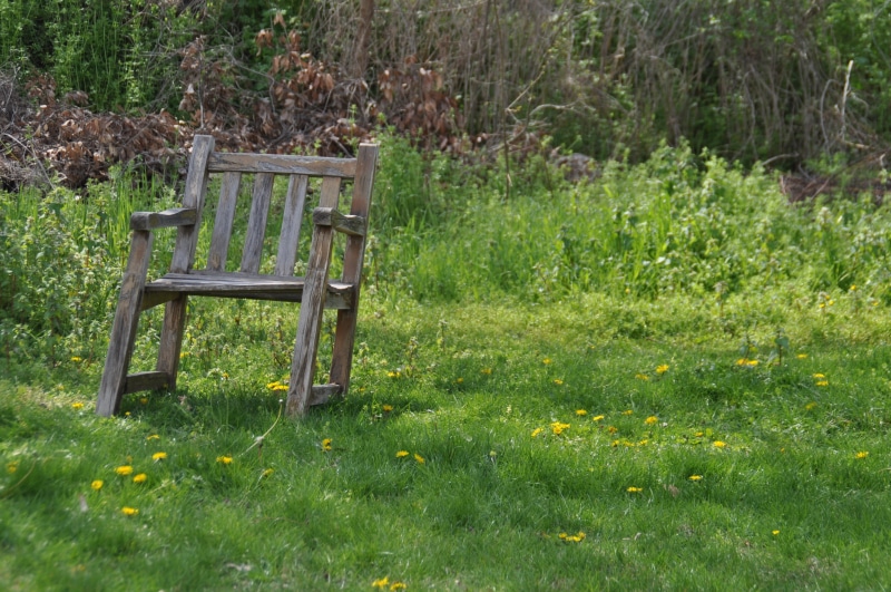 antique, old chair, park - Man Made Space, green, flower, outdoors, break, land, rest, recovery, 4K, day, chair, no people, simplicity, inviting, bench