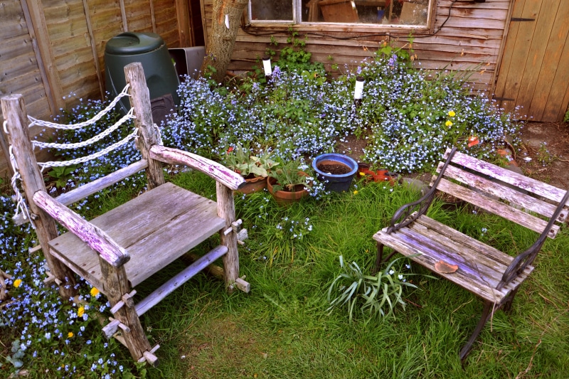 nature, flower, relax, green, park, table, gardening, high angle view, home, bench, plant, flower pot, wooden, brown, relaxation, outdoor chair, sitting