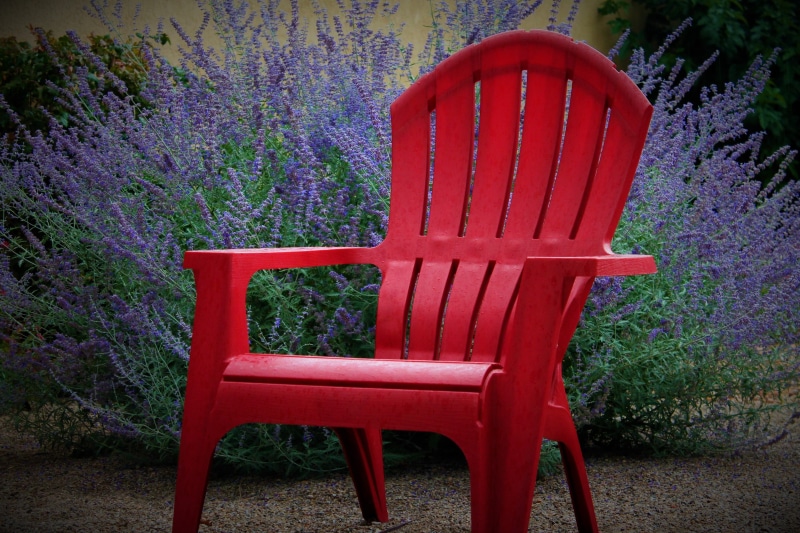 4K, wood - material, day, red, xeriscape, armchair, new mexico, southwest plant, amber avalona, no people, empty, leisure, relax, field, lounge chair