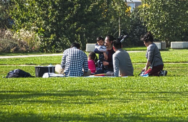 casual clothing, togetherness, green area, friendship, in the, men, landscape, group of people, young men, young adult, studying, break, communication