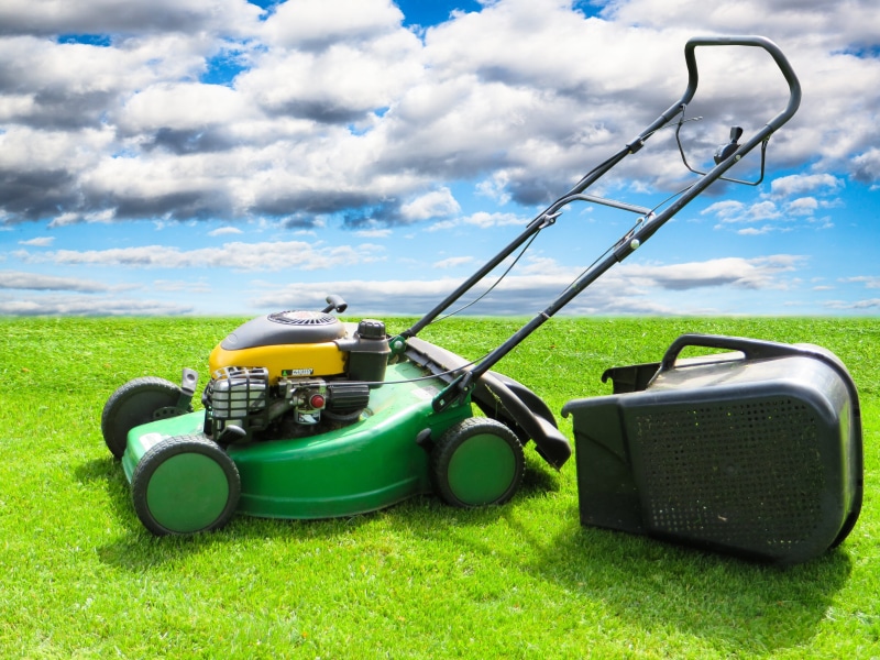 machinery, technology, sky, field, plant, front or Back Yard, growth, motor, Grass, gardening Equipment, land, basket, cloud - sky, Lawn Mower, yellow