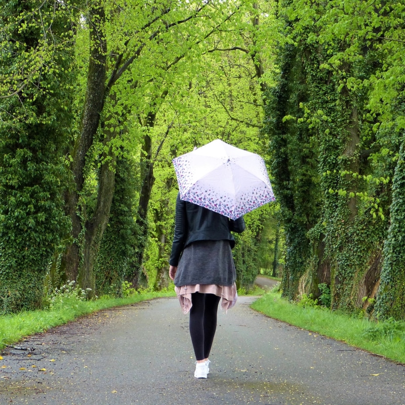 human, security, woman, rainy season, one person, lonely, wet, nature, 2K, avenue, break, summer, walking, relax, relaxation, umbrella, plant, live, immune system