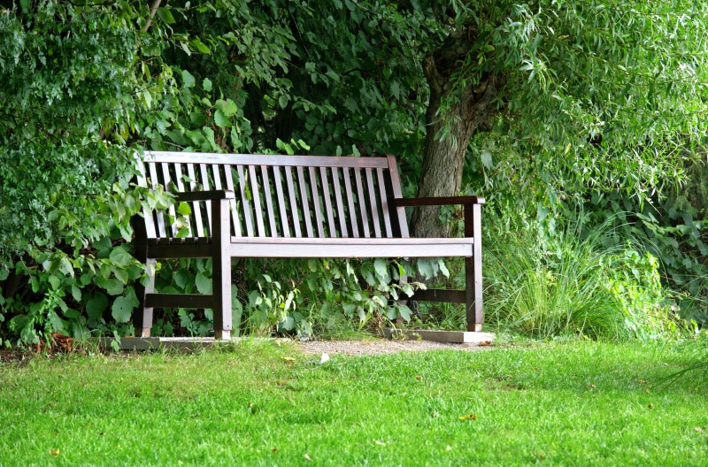 beauty in nature, forest, outdoors, empty, rest, tranquil Scene, formal Garden, Seat, shadow, grass, no People, break, garden bench, 5K, chair, recovery