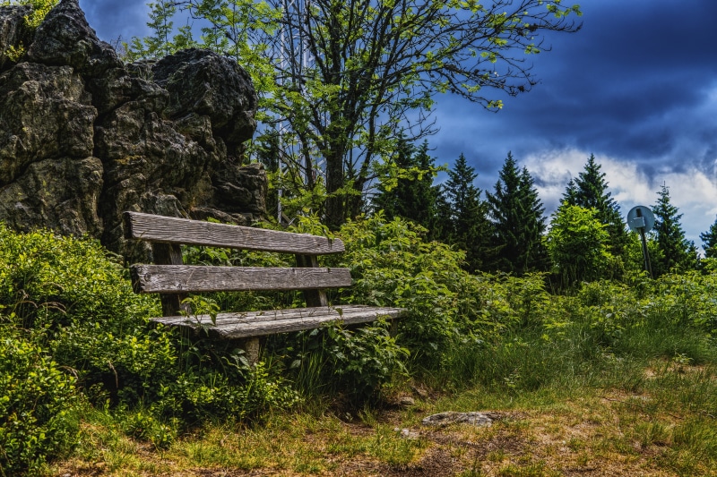 landscape, wooden, bench, trees, outdoors, clouds, forest, wooden bench, old, overgrown, old bench, no People, beauty in nature, park, wood, park bench