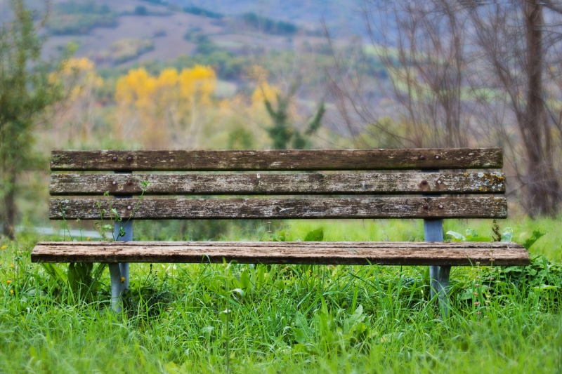 absence, nature, silent, empty, tranquility, out, field, single, green, grass, plant, no people, bench, benches, outdoors, 5K, day, wood - material, landscape