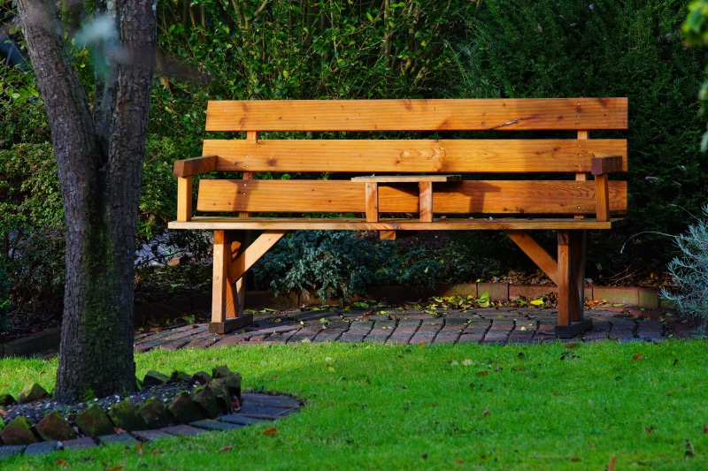 cozy, park Bench, rest, bank, land, green Color, relax, idyllic, growth, grass, wooden, park, tree trunk, wood, nostalgia, romantic, sit, 5K, garden bench