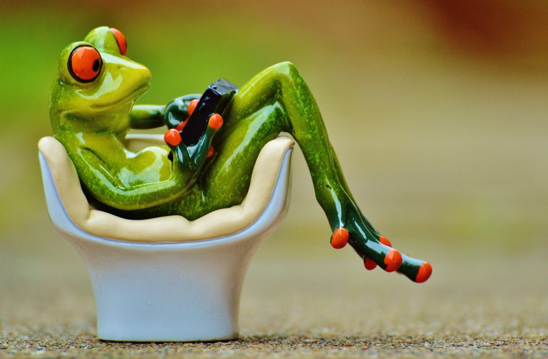 5K, seat, still life, coziness, sit, healthy eating, toy, relaxation, sweet, food, funny, pepper, plastic, multi colored, freshness, green color, computer