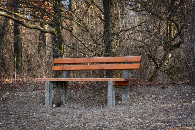 tranquility, park, trunk, day, resting place, out, nature, plant, individually, no people, rest, land, recovery, idyllic, break, absence, empty, bare tree