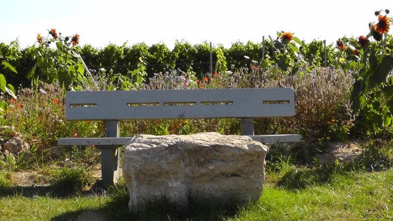 outdoors, summer, flower, text, bank, land, 2K, cemetery, day, green, rest pause, growth, grave, field, bench, recovery, sit, seat, relax, nature, wood - Material