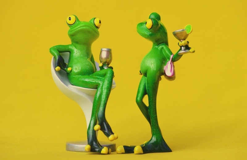 furniture, indoors, chair, funny, sweet, colored background, relax, toy, drink, studio shot, rest, green color, mammal, creativity, figurine, yellow, frog