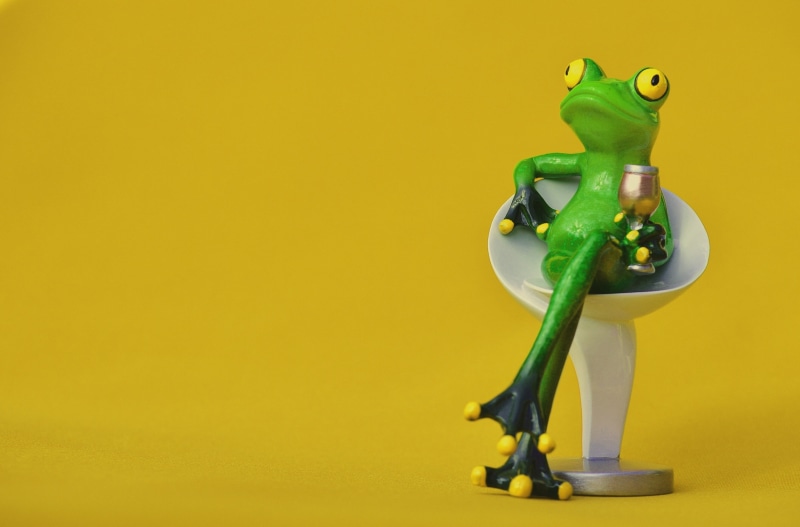 frog, no people, studio shot, glass, amphibian, relaxation, seat, furniture pieces, stall, 2K, representation, green, soaked, small, green color, chair