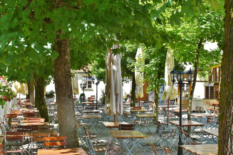 gastronomy, beer, beside, Tables, Dining, Beer Garden, plant, luxury, in a row, restaurant, sit, furniture, sets, cozy, growth, place setting, setting
