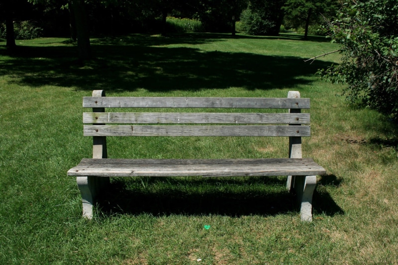 tree, park bench, surrounded, 1080P, wood - material, rest, absence, relaxation, tranquility, bench, field, sit, wooden, trees, green color, plant, park