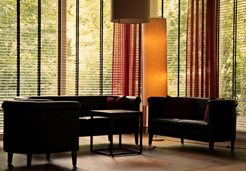 tree, trees, table, lounge, resting, venetian blinds, interior design, wood - material, 5K, furniture, sit, no people, seating furniture, relaxation, incidence of light