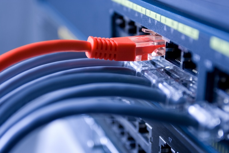 fiber optic, computer, electrical equipment, blue, cable, red, connection, network server, wired, close-up, internet, equipment, communication, computer cable
