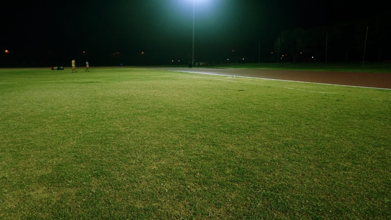 grass, lighting equipment, nature, green color, green, field, outdoors, lights, plant, grass field, team sport, stadium, landscape, 5K, night, grassy