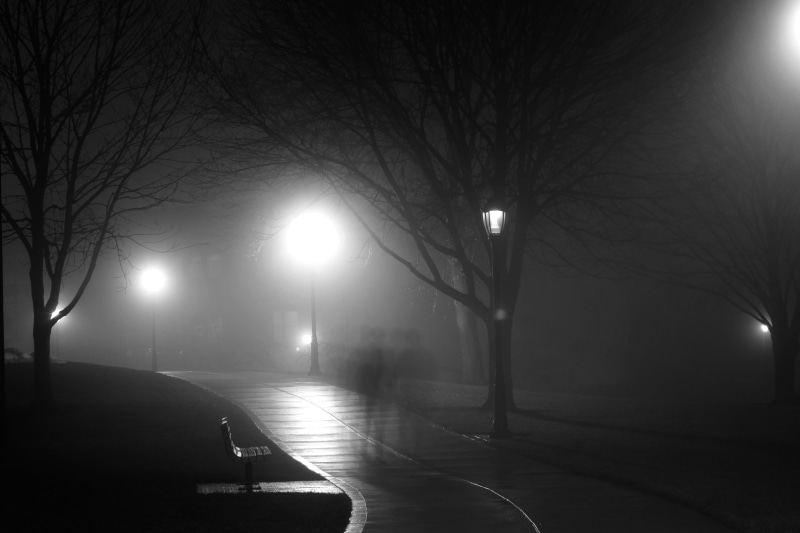backgrounds, bare tree, absence, lamps, transportation, direction, car, urban Scene, ghost, light, street Light, night time, person, traffic, plant, dark