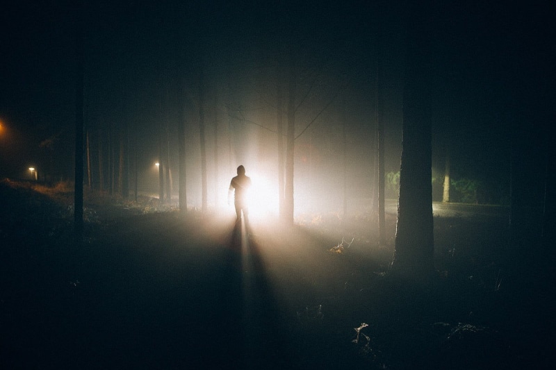 real people, fog, plant, forest, illuminated, lights, digital, men, full length, isolation, unrecognizable person, direction, Alone in the Dark, silhouette