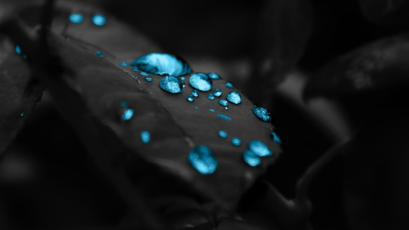drop, no people, black color, 1080P, purity, blue, indoors, photography, black and white, marbles, gemstone, waterdrops, precious gem, jewelry, selective focus