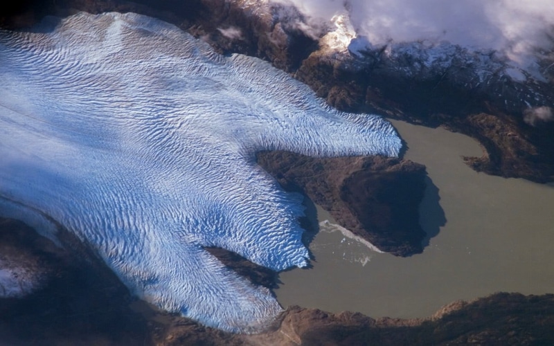 mammal, snow, animals in the wild, animal wildlife, beauty in nature, sea, Chile, running, daytime, rock, rock - object, satellite imagery, high angle view