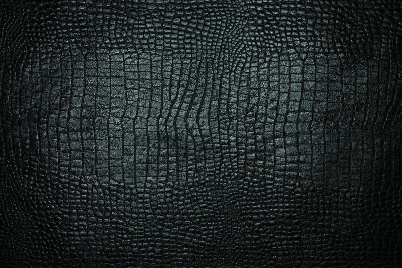 rough, animal, reptile, material, pattern, bumpy, leather Background, full frame, no People, vertebrate, vignette, black Color, leather, jeans, black, pad