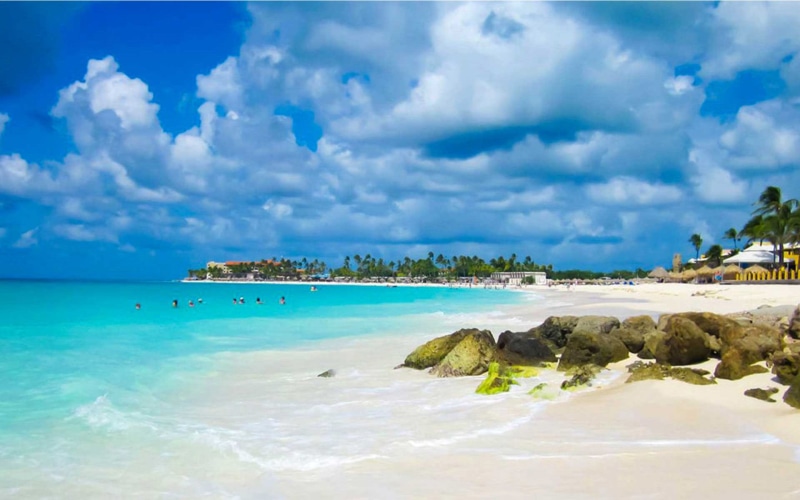venezuela, part, south, palm, southern, caribbean, integral, aruba, netherlands, beach, america, kingdom, 1080P, coast, along