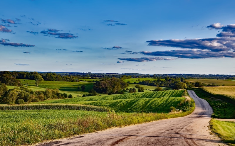 landscaped, tuscany, vineyard, the way forward, hdr, landscape, crop, road, clouds, green Color, field, rural, trees, woods, environment, wisconsin, plant