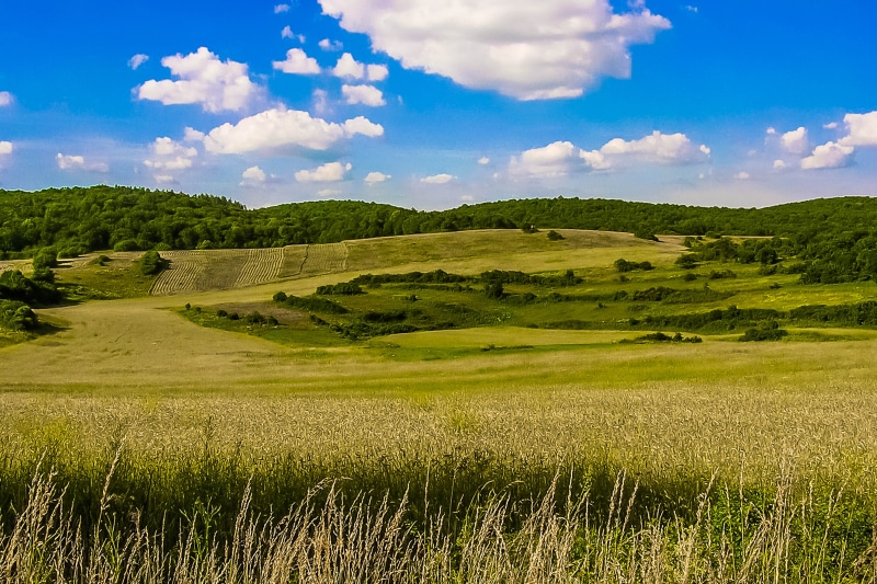agriculture, white, nature, landscape, beauty in nature, 5K, non-urban scene, fields, no people, hill, land, environment, clouds, scenics - nature, springtime
