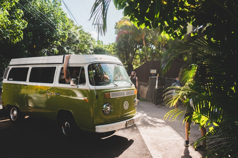 nature, Volkswagen beetle, road, transporter, palm tree, urban Scene, tree, vw, sunlight, men, tropical climate, outdoors, white, green color, bus, old-fashioned