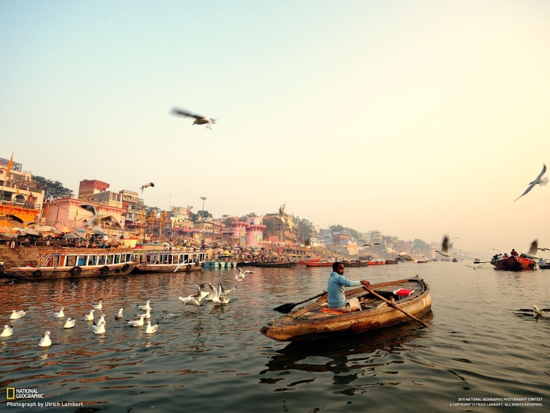 flying, bird, fishing boat, no people, transportation, water, mode of transportation, architecture, 720P, clear sky, nature, waterfront, Varanasi, travel