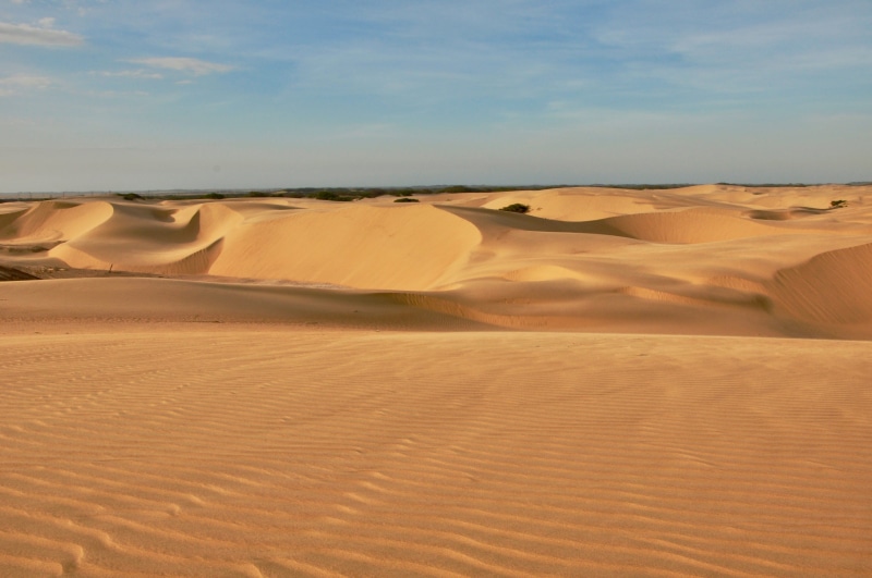 world, Falcon, Adventure, remote, scenics - nature, tourism, map, view, dry, horizon, scenics, non-urban scene, land, tour, morocco, city, sand, travel