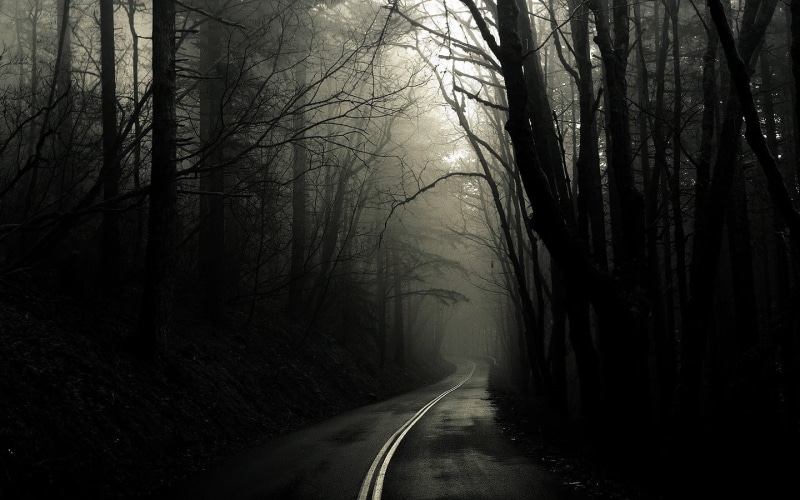 dark, direction, bare tree, beauty in nature, tree, nature, road, woodland, landscape, tranquil scene, gray, diminishing perspective, mist, scenics - nature