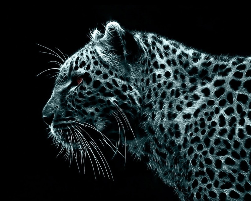 animal head, close-up, 720P, feline, animal, profile view, looking away, digital art, graphic, big cat, cat, black background, animal themes, leopard