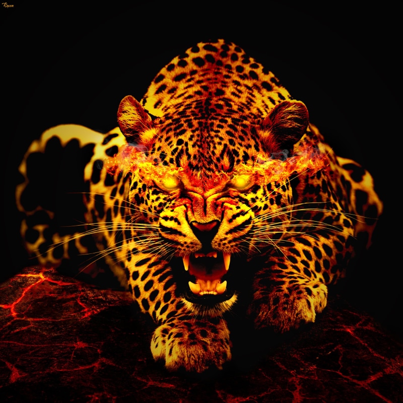 1080P, leopard, fire art, smoke  cat, wildlife, artwork, carnivore, cs6, digital art, photo, undomesticated Cat, danger, manipulation, graphic design