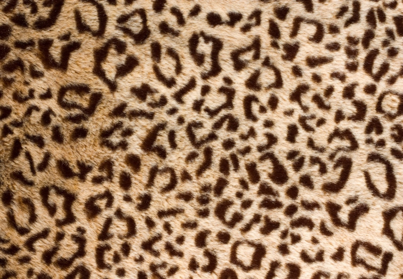 safari, animal, textile, jaguar, leopard, print, animal markings, one animal, big cat, animals In The Wild, pattern, undomesticated Cat, backgrounds, 5K