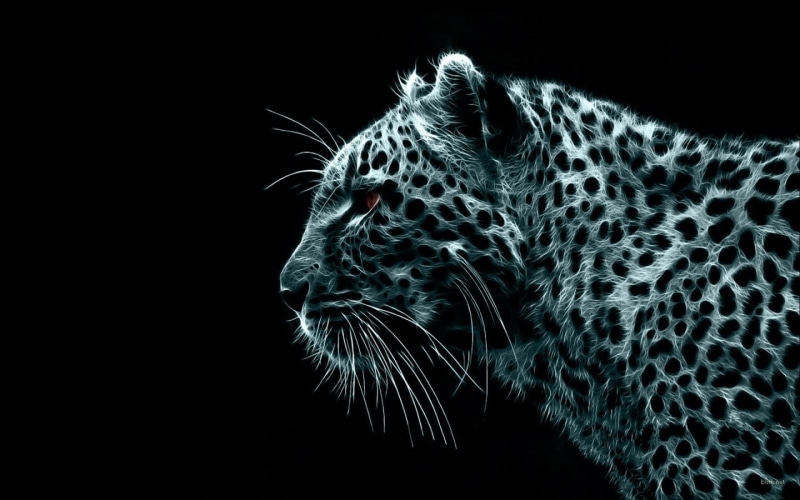 leopard, big cats, leopard (animal), animals, digital art, 720P