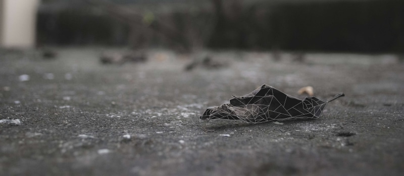 still life, 4K, crumpled paper ball, lowpoly, street, nature, single object, footpath, absence, no people, close-up, the last leaf, outdoors, sadness