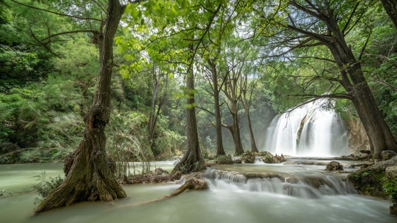waterfalls the chiflon, 8K, mexico, green forest, chiflon, chiapas, waterfall, tzimol, forest, 8k uhd