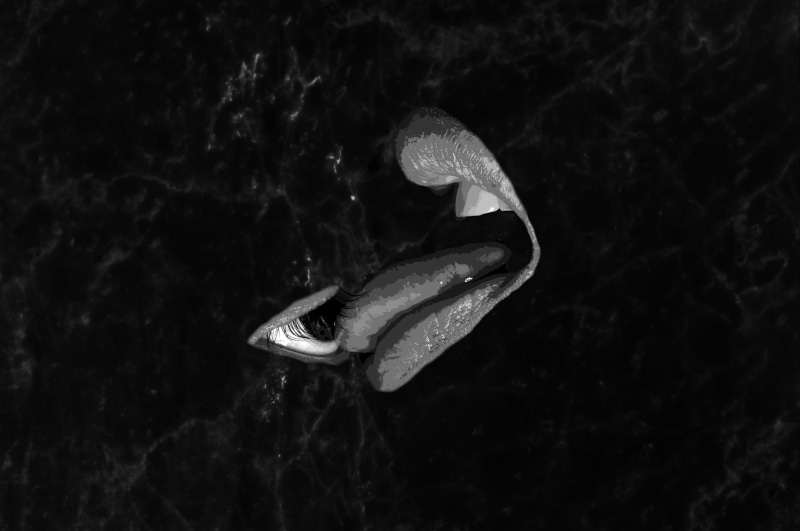 lick, dark, outdoors, sea life, animals in the wild, 2K, beauty in nature, lips, solid, close-up, invertebrate, marble, nature, animal themes, rock, black