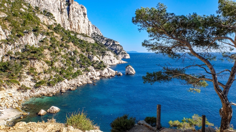 tree, bay, coast, rock formation, calanque, solid, formation, france, sea, nature, land, water, rock, sky, 4K, tranquil scene, beach, day, plant, scenics - nature