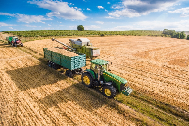 Combine Harvester, industrial, technology, plant, crop, room for text, Trailer, top, wheat, non-Urban Scene, harvester, ripe, farmer, sunlight, rural Scene