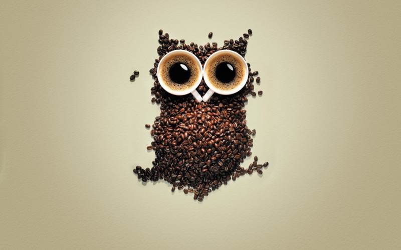 bean, directly above, copy space, owl, cup, food and drink, indoors, creativity, anthropomorphic face, anthropomorphic, brown, still life, close-up, 1080P