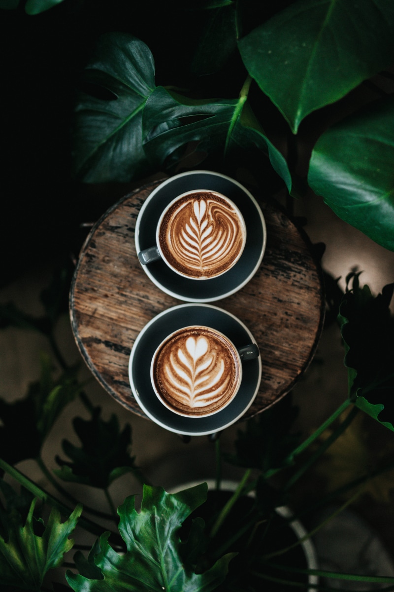 two, frothy drink, hot drink, 5K, angle, wooden, latte art, leaves, plant part, mugs, photo, coffee, high angle view, plant, cup, barrista, food and drink